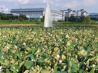 8월의 테마 여행 메인페이지 미리보기