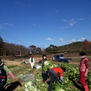 2019년 김장하는 날 메인페이지 미리보기