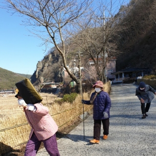 걷기 운동 프로그램 메인페이지 미리보기